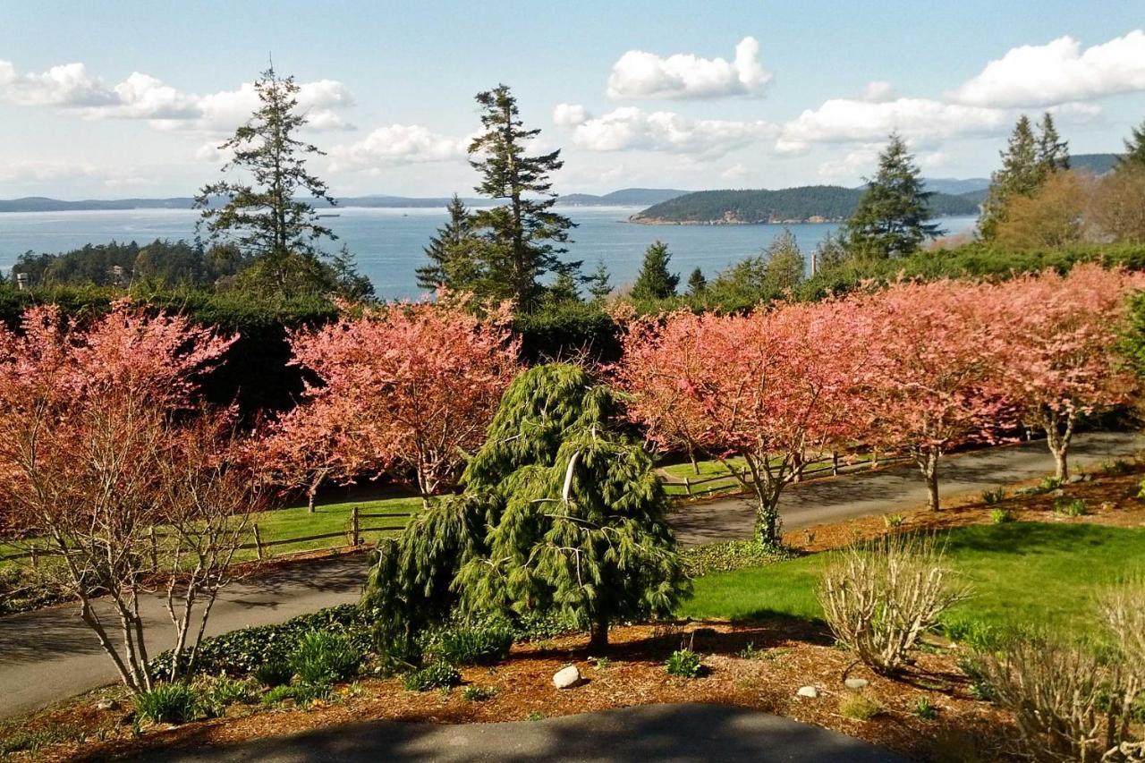 Airy Home Near Anacortes With San Juan De Fuca Views المظهر الخارجي الصورة